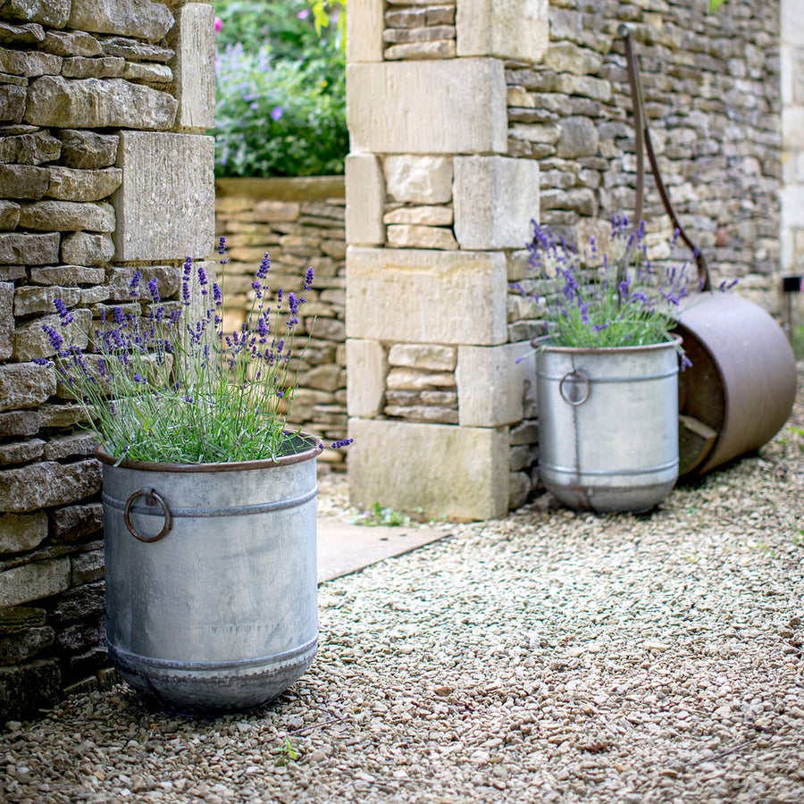 Large Malmesbury Planter