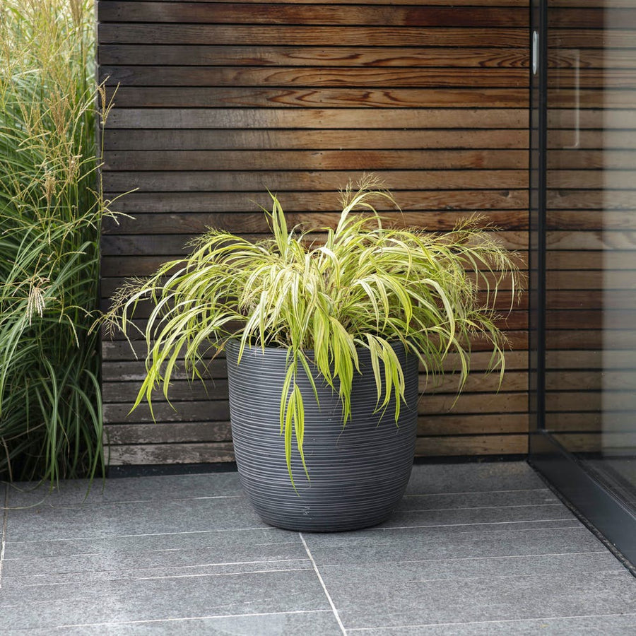 Large Rodborough Planter