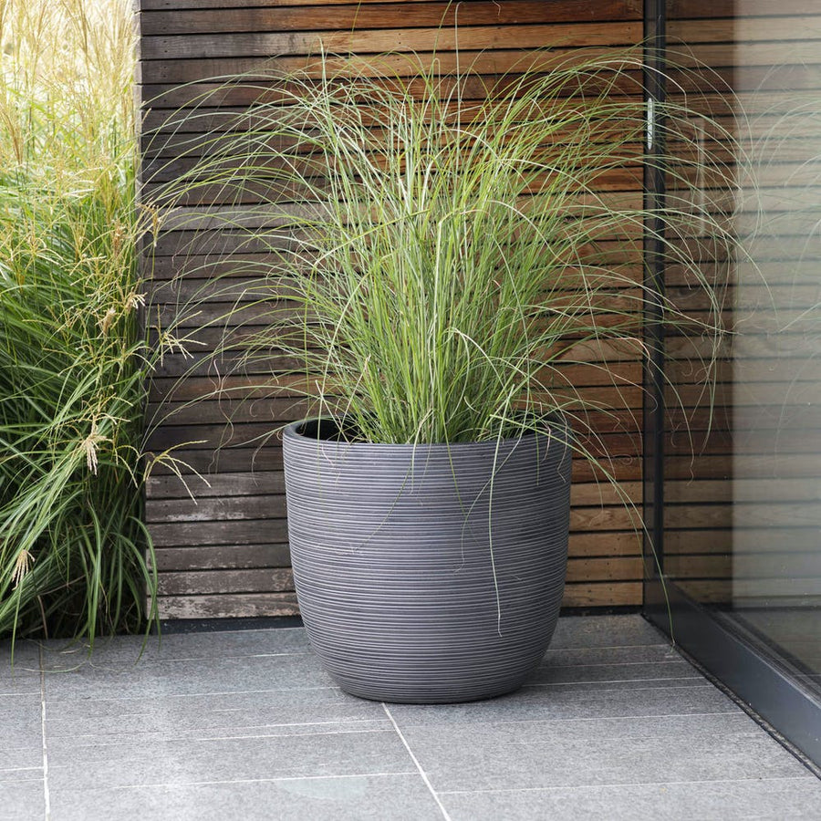 Extra Large Rodborough Planter